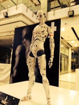 figure