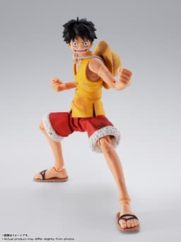 One Piece - Monkey D. Luffy - S.H.Figuarts - Marineford, view 24 of 25