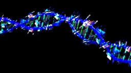 Sonic the Hedgehog - Sonic the Hedgehog x LOM BABY - Sonic the Hedgehog DNA figure, view 4 of 6