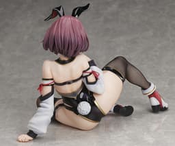 Hitoyo-chan no Junan - Hitoyo-chan - Binding Creator's Opinion - Creator's Collection - 1/4 - Bunny Ver., view 12 of 14
