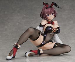 Hitoyo-chan no Junan - Hitoyo-chan - Binding Creator's Opinion - Creator's Collection - 1/4 - Bunny Ver., view 1 of 14