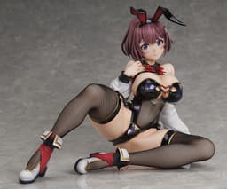 Hitoyo-chan no Junan - Hitoyo-chan - Binding Creator's Opinion - Creator's Collection - 1/4 - Bunny Ver., view 4 of 14