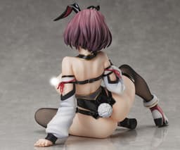 Hitoyo-chan no Junan - Hitoyo-chan - Binding Creator's Opinion - Creator's Collection - 1/4 - Bunny Ver., view 14 of 14