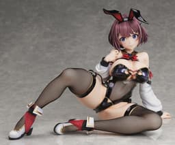 Hitoyo-chan no Junan - Hitoyo-chan - Binding Creator's Opinion - Creator's Collection - 1/4 - Bunny Ver., view 3 of 14