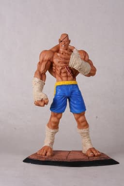 figure