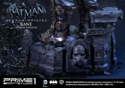 Batman: Arkham Origins - Bane - Museum Masterline Series (MMDC-07V) - 1/3 - Venom Ver., view 21 of 21