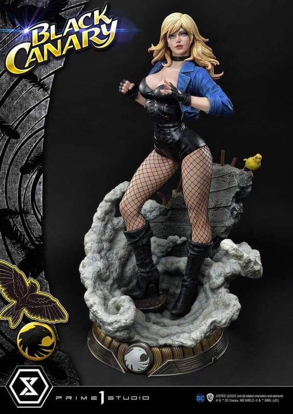 Black Canary - Museum Masterline Series (MMDC-49) - 1/3