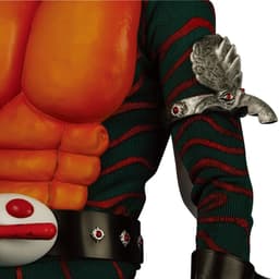 Kamen Rider Amazon - Real Action Heroes (No.227) - 1/6, view 3 of 15