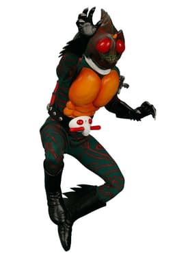 Kamen Rider Amazon - Real Action Heroes (No.227) - 1/6, view 12 of 15