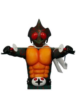Kamen Rider Amazon - Real Action Heroes (No.227) - 1/6, view 13 of 15