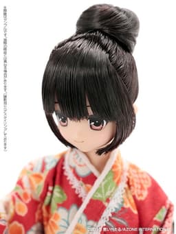 PureNeemo - SAHRA'S à la mode - Maya - 1/6 - Happy New Year 2018, Doll Show Limited ver., view 7 of 8