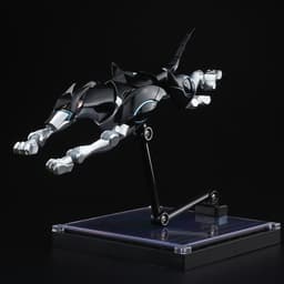 Shinzou Ningen Casshern - Frender - Tatsunoko Heroes Fightingear - Black Ver., view 7 of 7