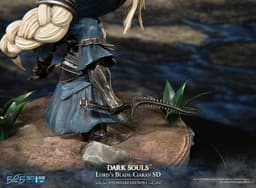 Dark Souls - Ou no Yaiba Ciaran - Dark Souls SD (SD012|08DS) - Standard Edition, view 12 of 23