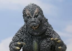 Mothra vs. Gojira - Gojira - S.H.MonsterArts, view 2 of 8