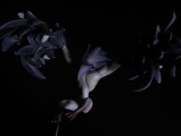 Dark Souls - Velka no Karasu Hito, view 11 of 13