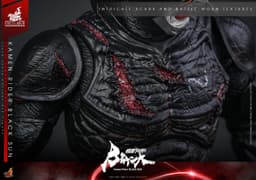 Kamen Rider Black Sun - TV Masterpiece (TM#106) - 1/6 - Battle Damaged Version, view 14 of 16