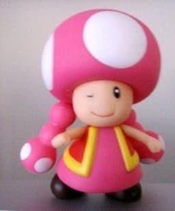 Super Mario Brothers - Kinopiko