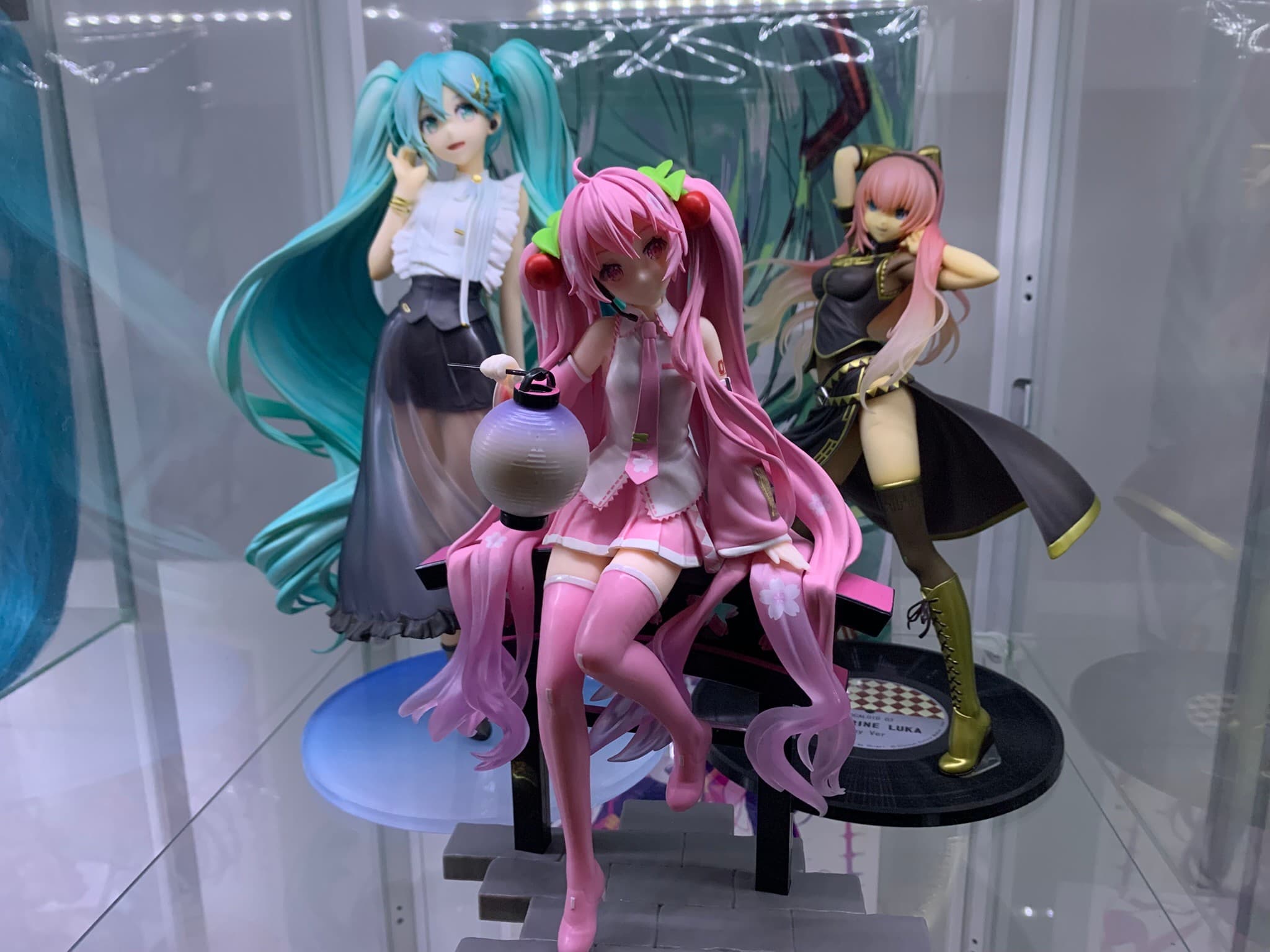 Anime figure photo by Whitefox81