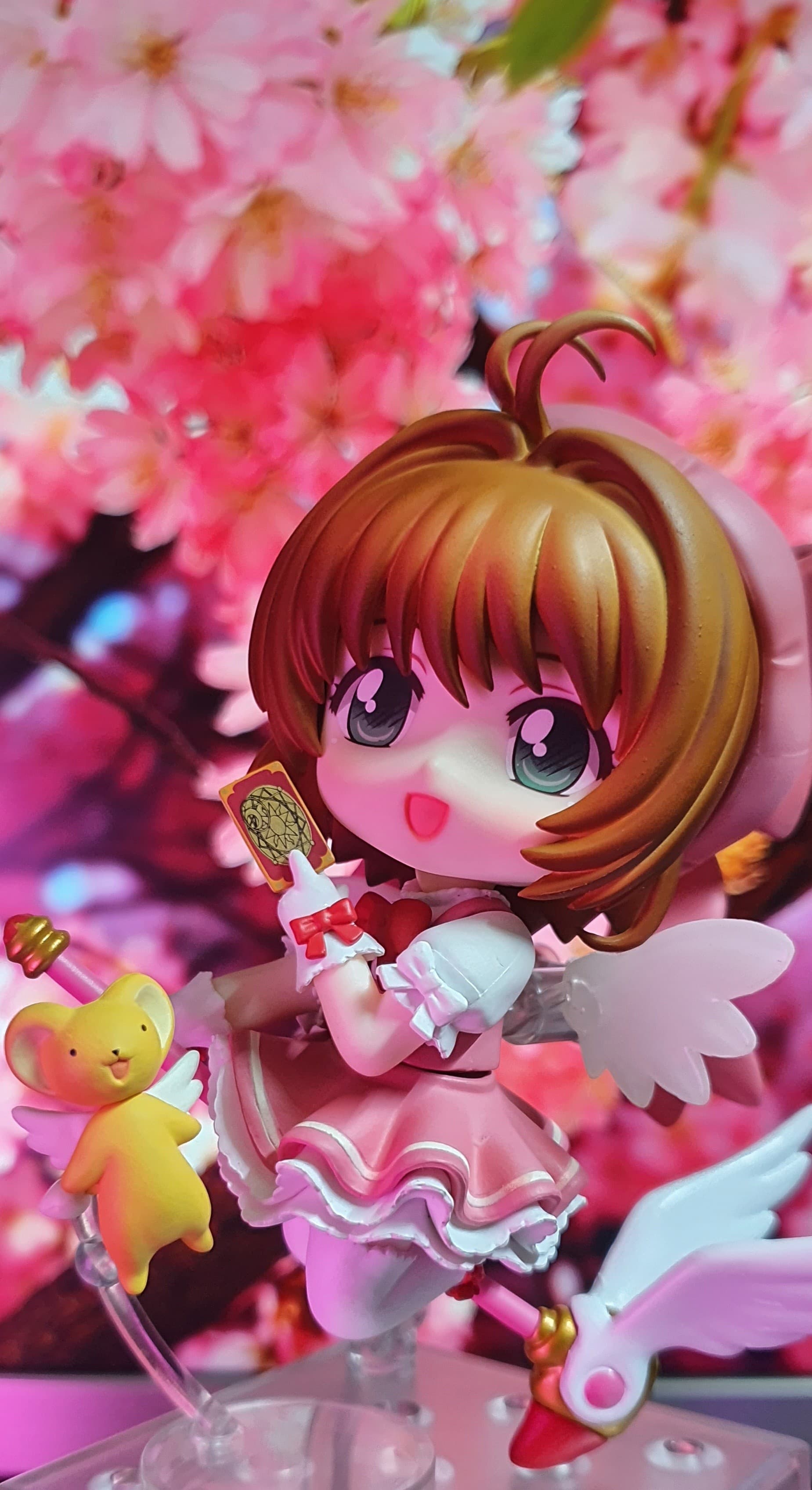 Sakura Kinomoto (Nendroid), collector photo by Ryknex, photo 3 of 3