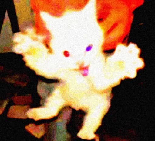 andnie