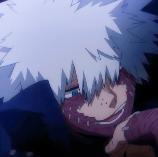 Touya_Todoroki profile