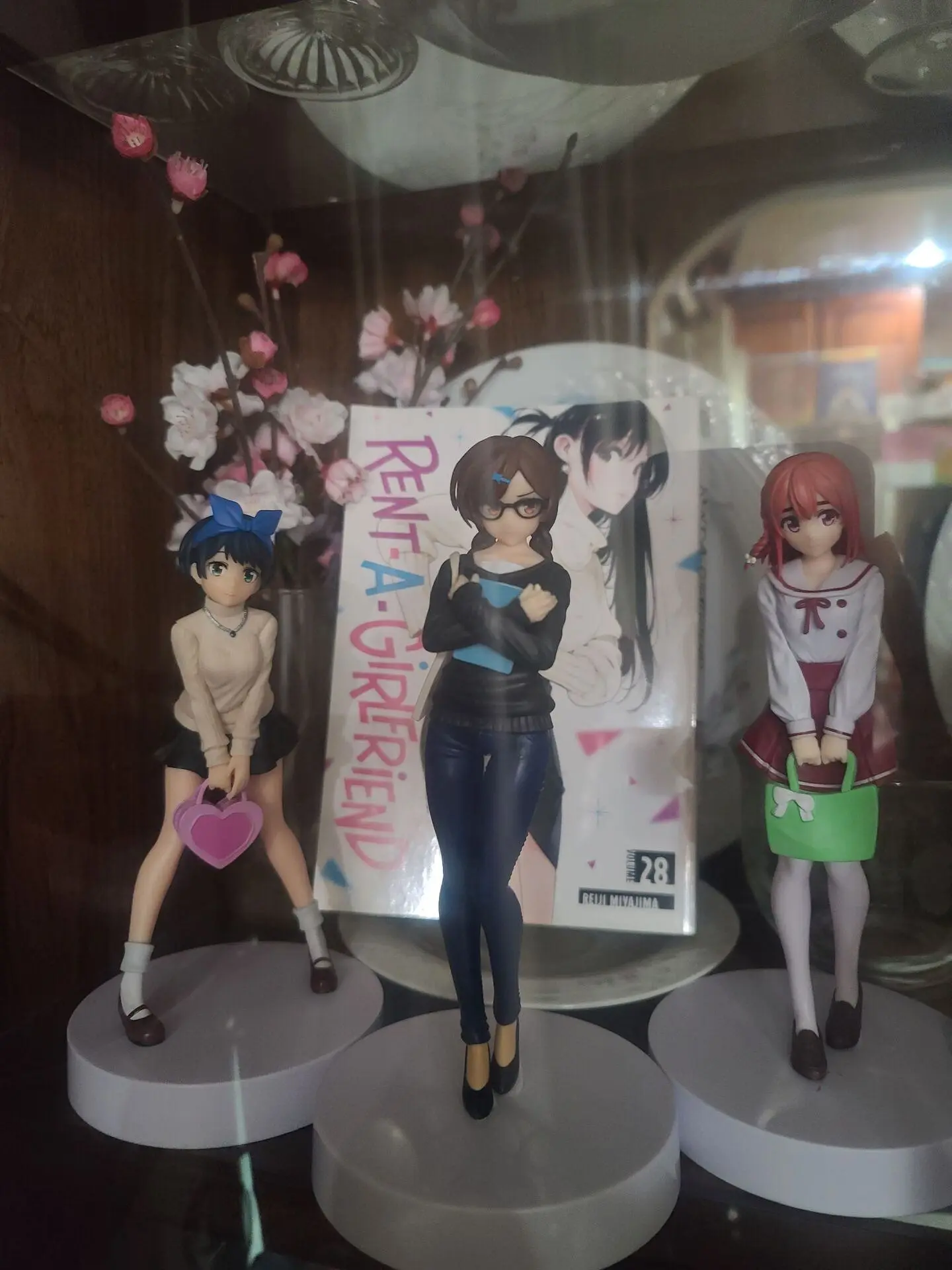 Rent-A-Girlfriend, collector photo by LadiesMan217