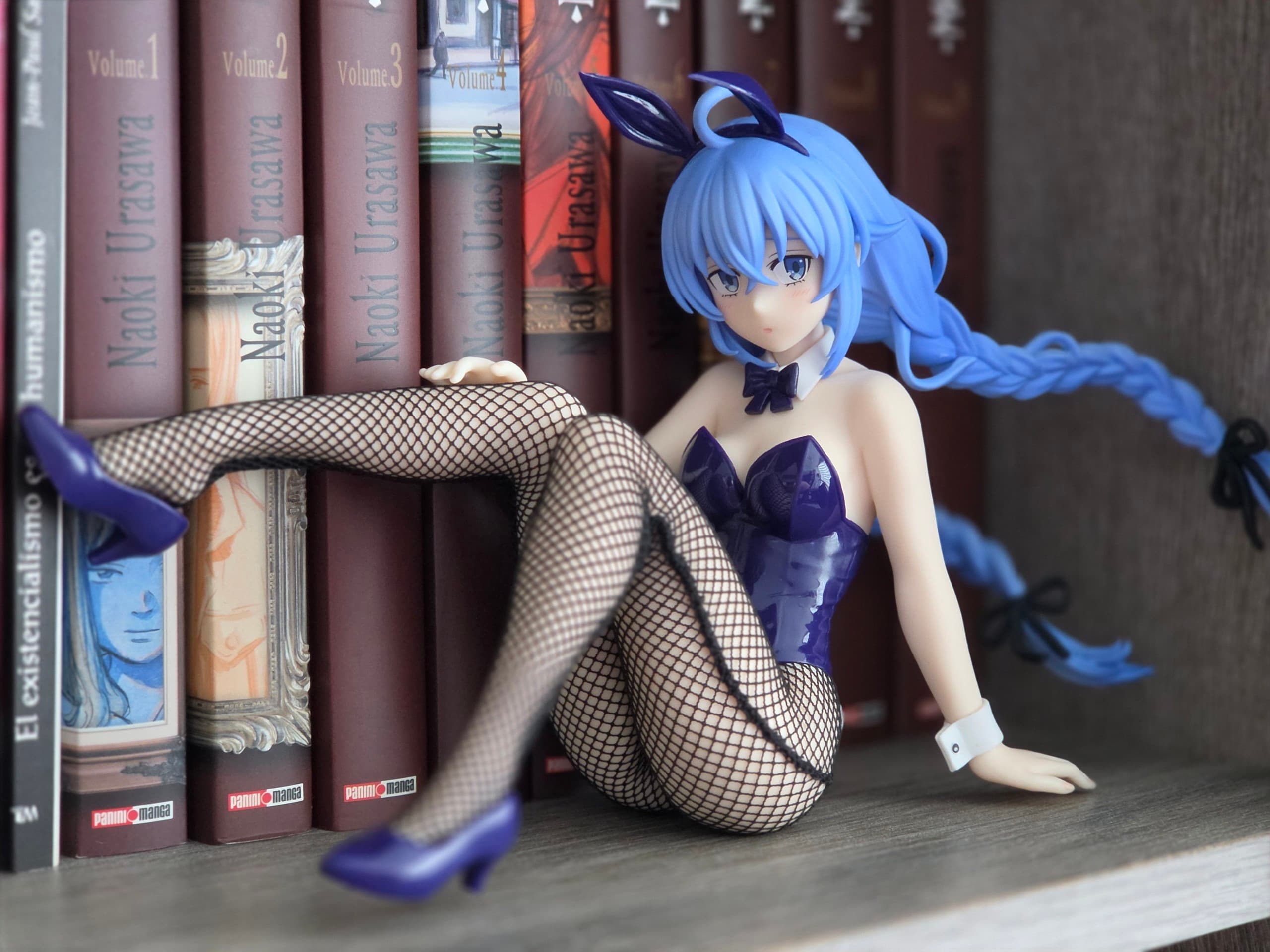 Collector figure photo by nameless-sama