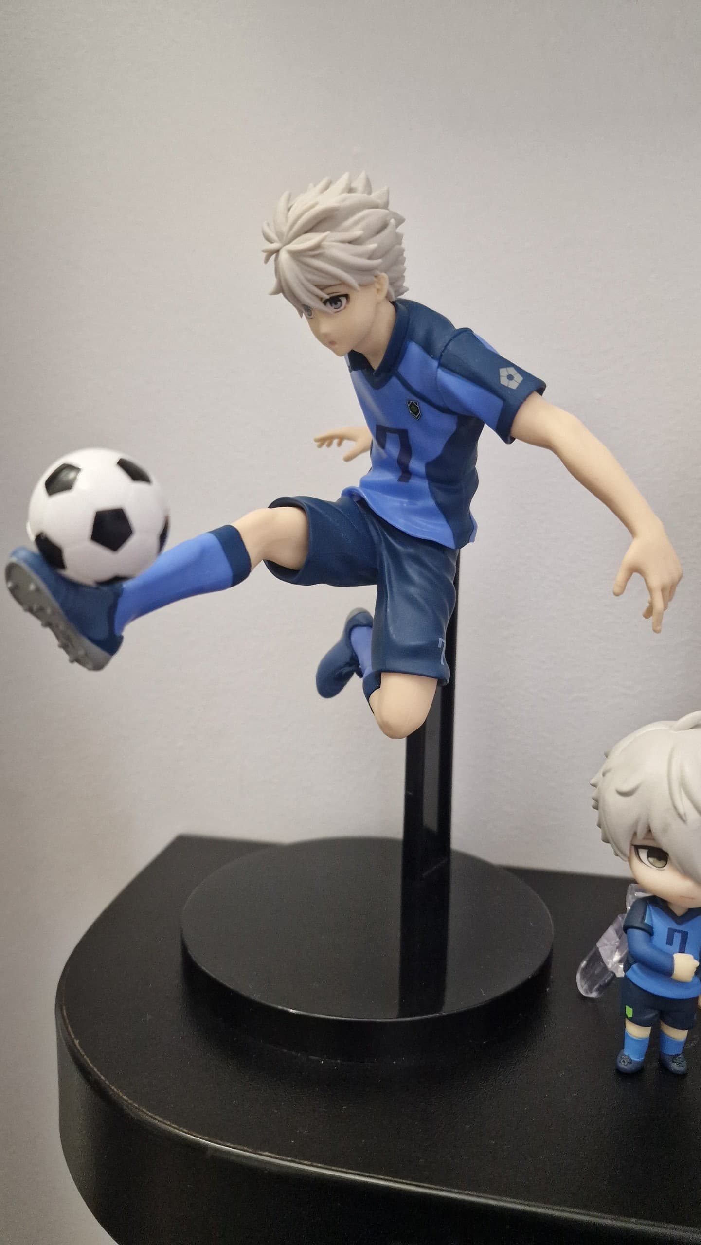 Collector figure photo by meii