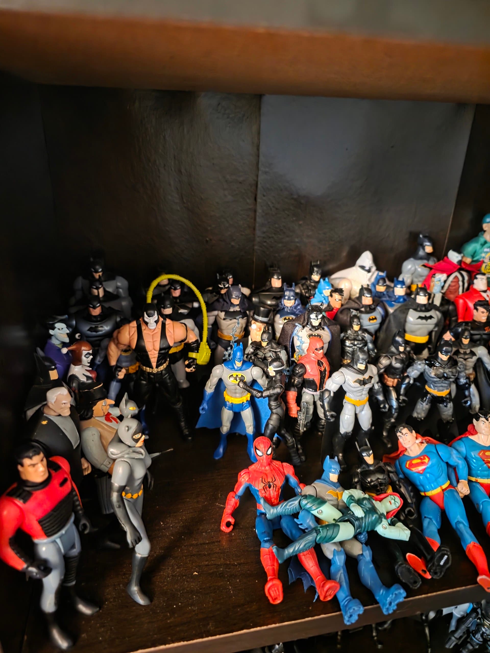 My Collection, collector photo by BeastBroCollectibles