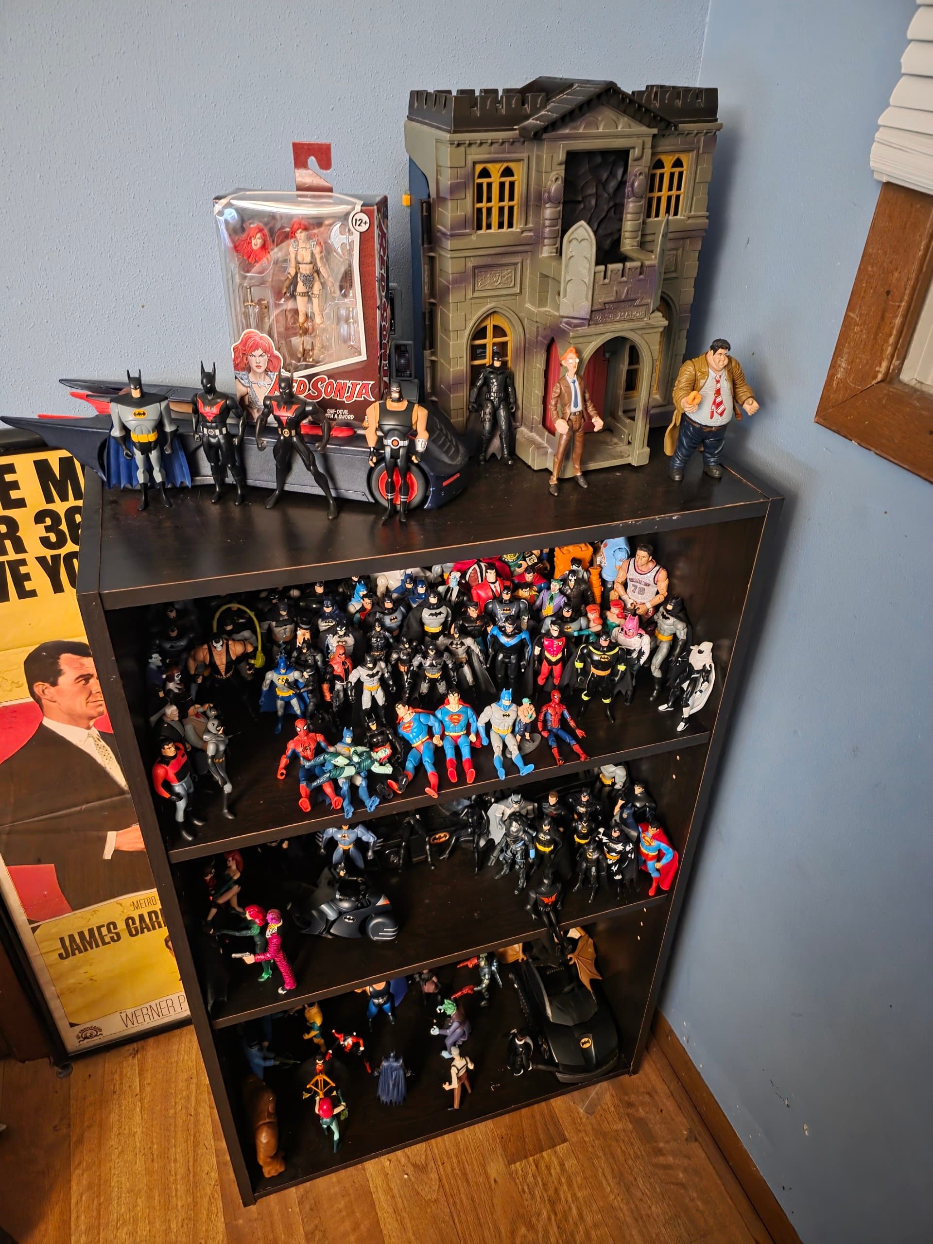 My Collection, collector photo by BeastBroCollectibles