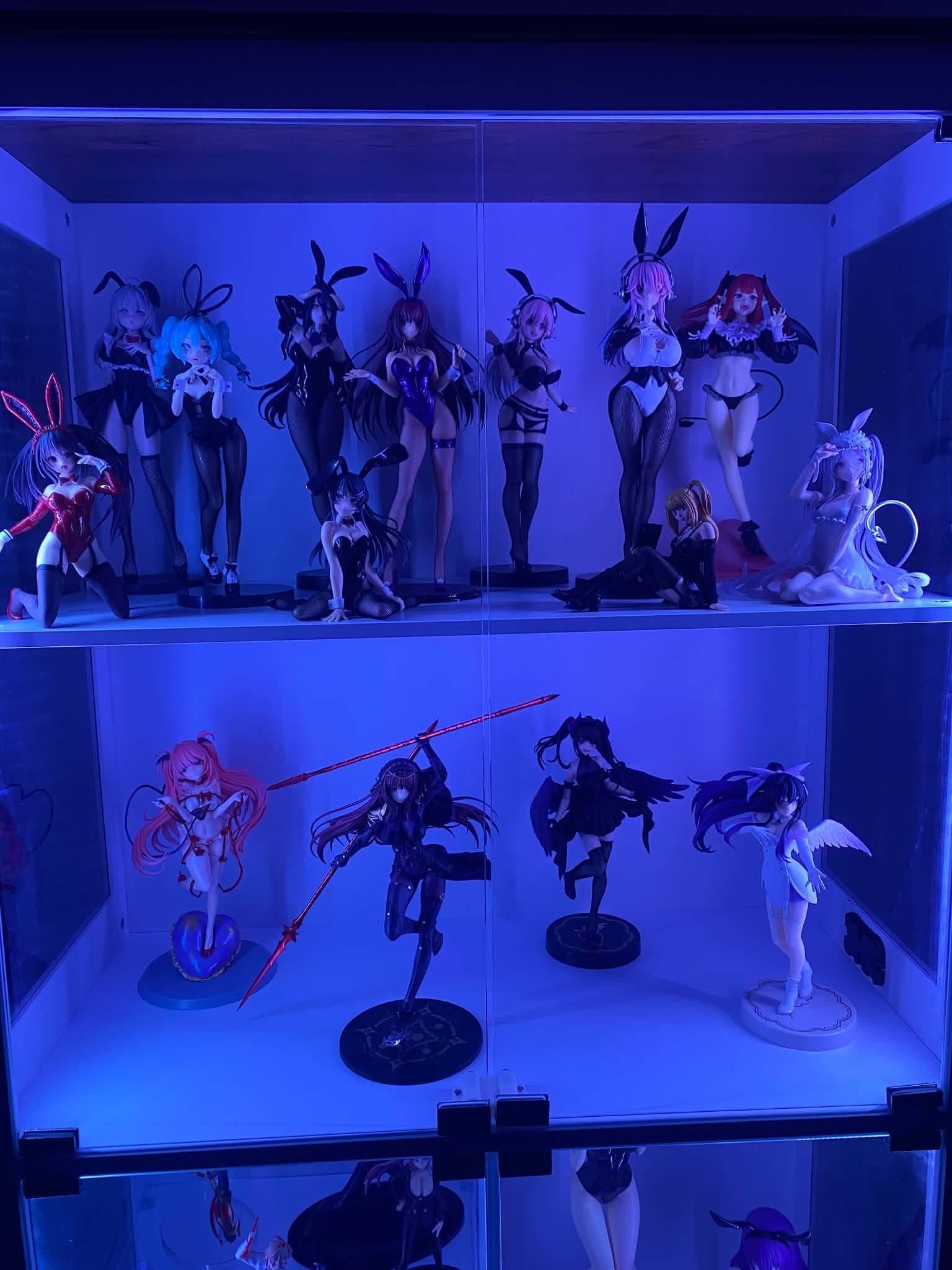 My Collection, collector photo by lachrimosa