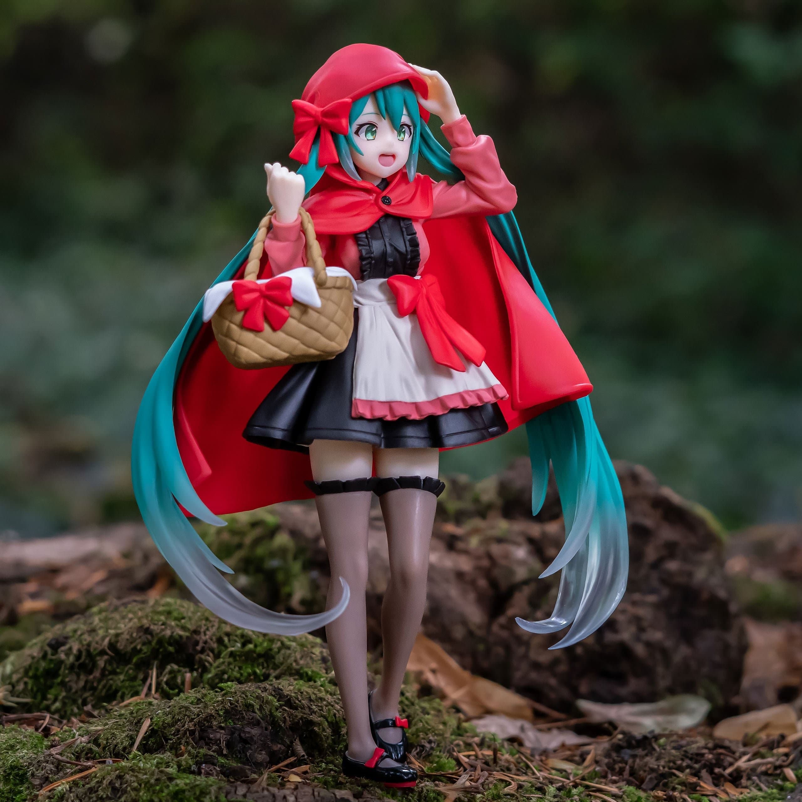Collector figure photo by saitama