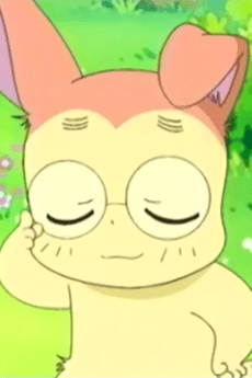 Shallot